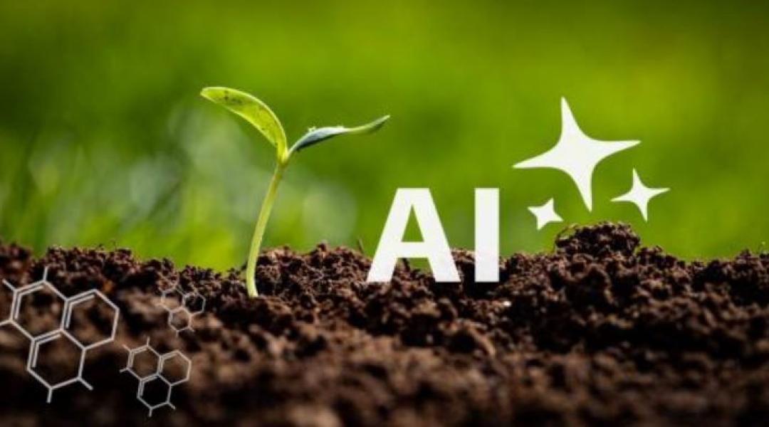AI a földeken és az agrármarketingben – az Agroinform megmutatja, hogyan használd jól