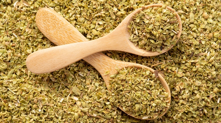 oregano oregano