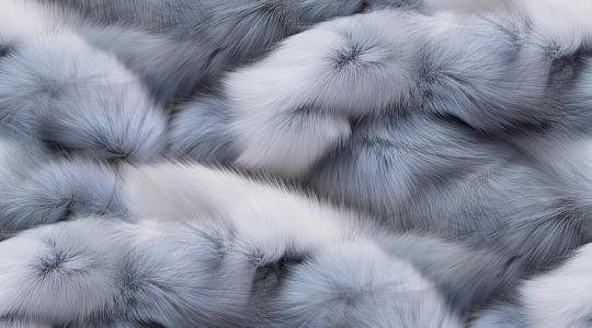 Ki lesz a következő? – A prémesállat-tenyésztés betiltása veszélyes precedenst teremthet a lengyeleknél Ki lesz a következő? – A prémesállat-tenyésztés betiltása veszélyes precedenst teremthet a lengyeleknél