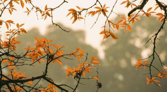 Időjárás: Kettészakad az ország, brutális hőmérsékleti különbségek +VIDEÓ Időjárás: Kettészakad az ország, brutális hőmérsékleti különbségek +VIDEÓ