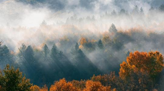 Nem tart ki hétfőig a jó idő, mutatjuk, hogyan tervezz Nem tart ki hétfőig a jó idő, mutatjuk, hogyan tervezz