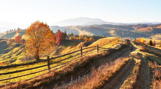 Időjárás: Tavaszias fordulat + VIDEÓ