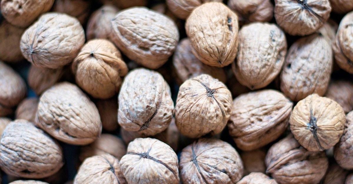 Diótermesztés – még mindig nélkülözhetetlen az emberi munka