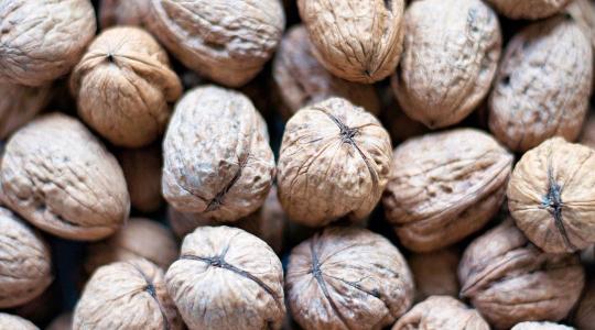 Diótermesztés – még mindig nélkülözhetetlen az emberi munka