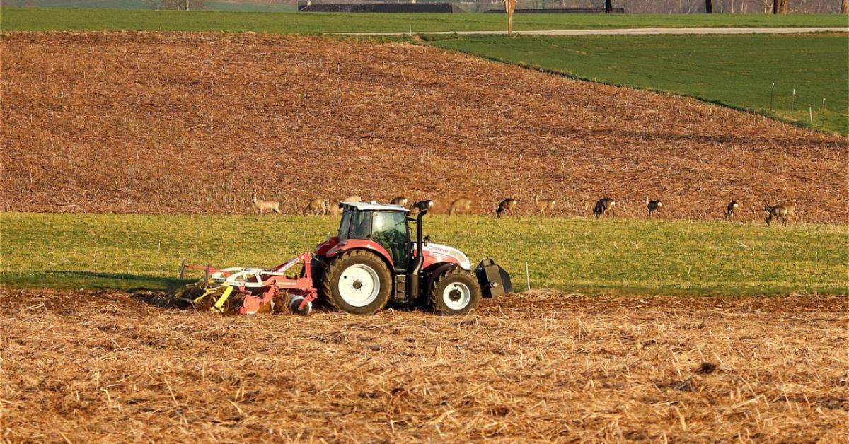 3 napos időjárás-előrejelzés: Növekszik a csapadékhajlam