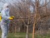 Gyümölcsfák lemosó permetezése tél előtt – teljes útmutató