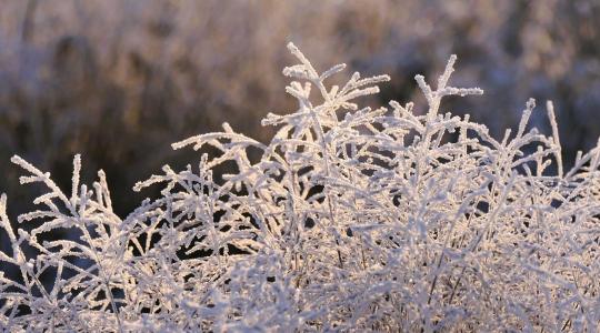 A hideg nem ellenség – így őrizhetjük meg egészségünket a téli hónapokban