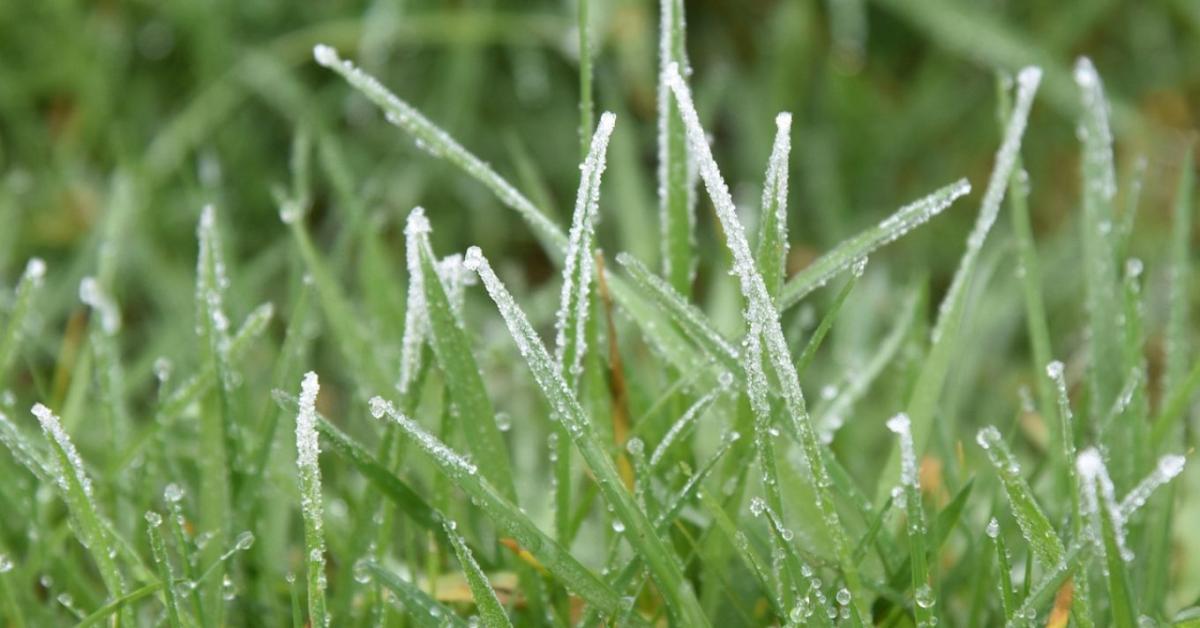 Gyep téli pihenő üzemmód – mit szabad és mit ne csináljunk?