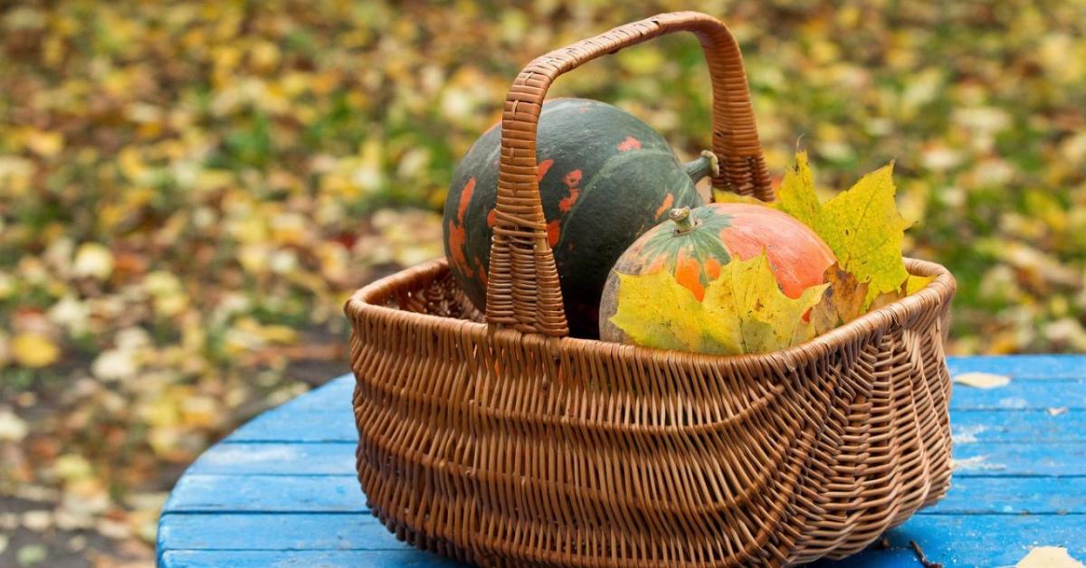 Konyhakert téliesítése novemberben – ágyásrendezés A-tól Z-ig