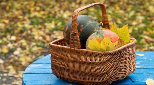 Konyhakert téliesítése novemberben – ágyásrendezés A-tól Z-ig Konyhakert téliesítése novemberben – ágyásrendezés A-tól Z-ig