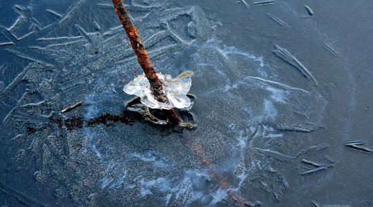 Kerti tó levegőztetés télen – hogyan kerüld el a halpusztulást?