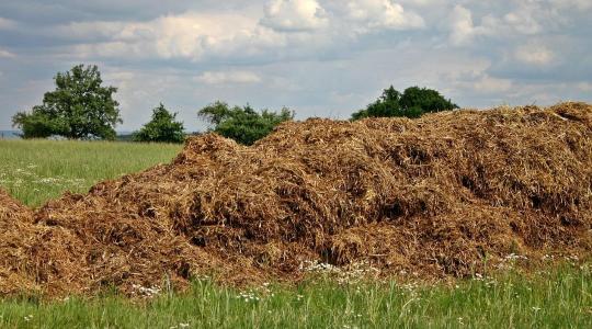Trágyatárolás szabályai télen – csurgalékvédelem és környezet Trágyatárolás szabályai télen – csurgalékvédelem és környezet
