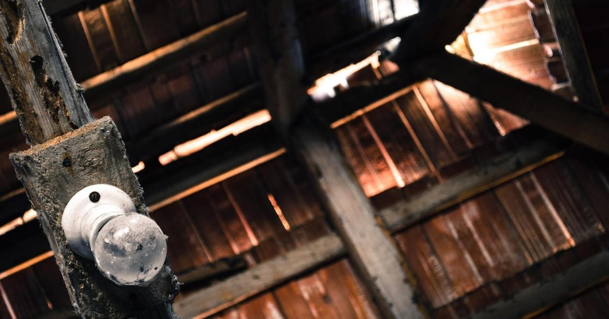 A kerted biztonsága télen: rágcsálók, rókák, nyestek