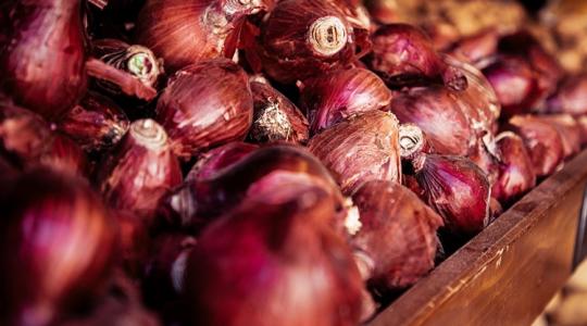 Házikerti pincék titkai – mit tárolj, mit ne? Házikerti pincék titkai – mit tárolj, mit ne?