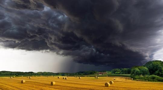Viharkár után: mit csinálj, mit ne? Viharkár után: mit csinálj, mit ne?