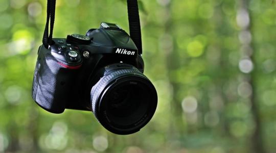 A legjobb téli fotóhelyek a kertben A legjobb téli fotóhelyek a kertben