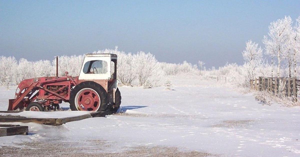 „Semmi sem nő” – mégis mit csinálnak a profik télen?