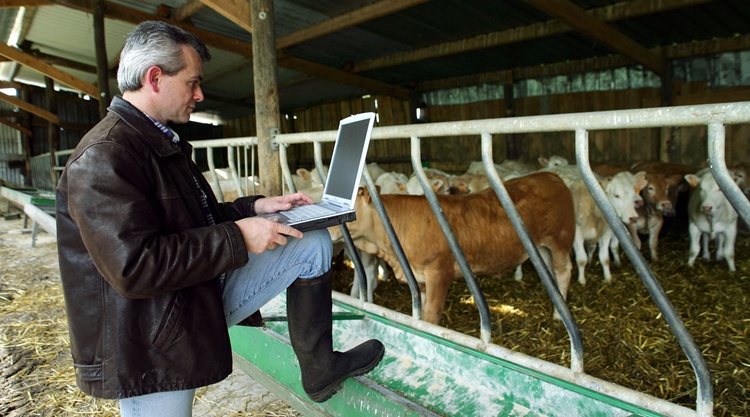 gazda laptop gazda laptop