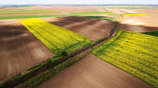 Soha nem látott árakon cserél gazdát a föld a határ túloldalán
