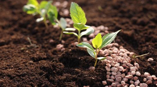 Elképesztő, mi minden befolyásolja a műtrágyák és a granulálók piacát