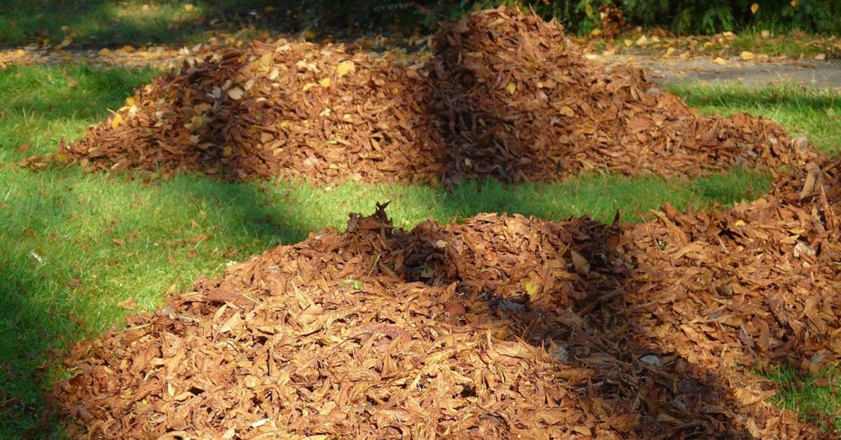A kert legjobb „ingyenanyagai”: lomb, ág, venyige