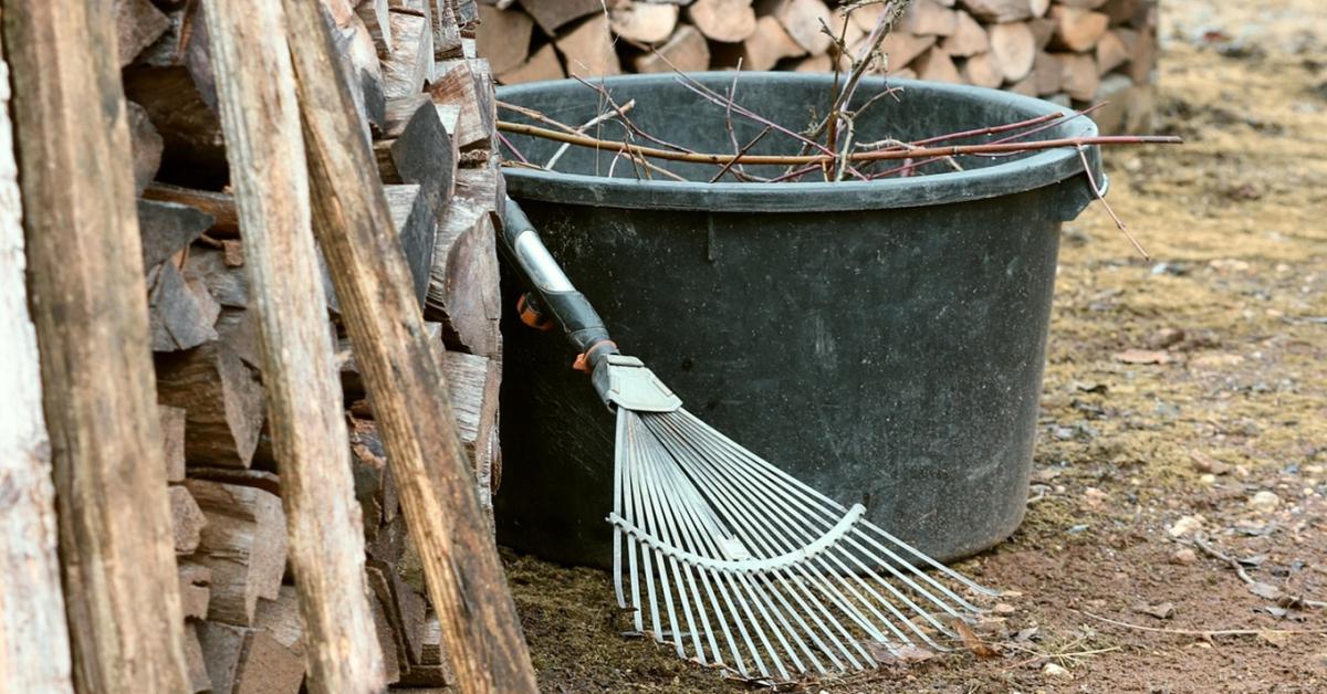 A legrosszabb tanács, amit télen hallhatsz a kertedről A legrosszabb tanács, amit télen hallhatsz a kertedről