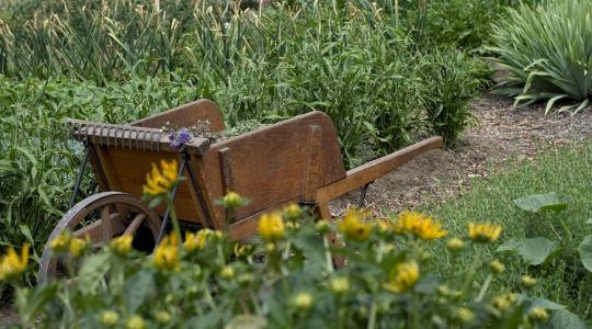 Miért jobb néha semmit sem csinálni?