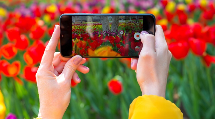 kertfotozas kertfotozas