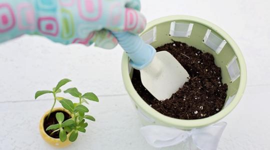 Téli kertészkedés gyerekkel – mit tanulhatnak most?