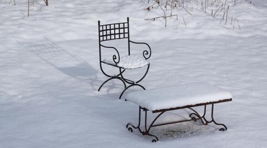 A téli kert hangjai – miért megnyugtató kint lenni? A téli kert hangjai – miért megnyugtató kint lenni?