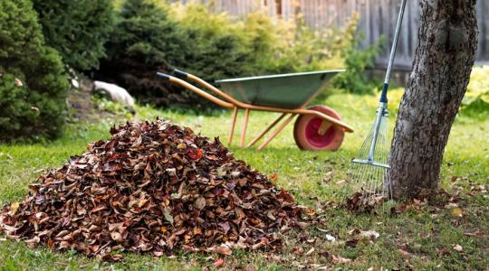 Rendetlennek tűnik a kert, de a sünök jól alszanak: te vállalod? Rendetlennek tűnik a kert, de a sünök jól alszanak: te vállalod?