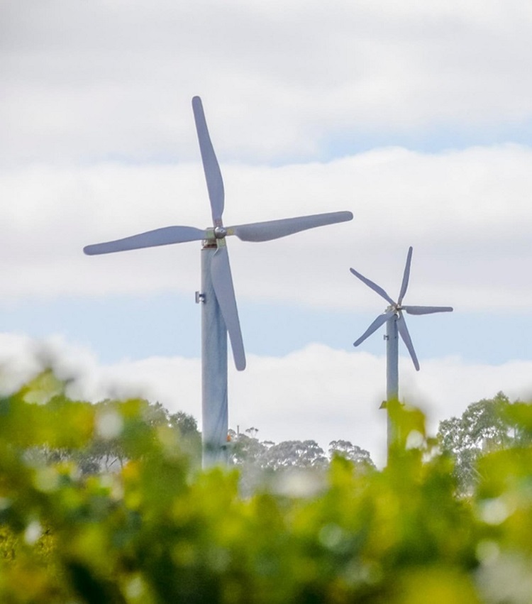 Tatra Savaria Team Tatra Savaria Team