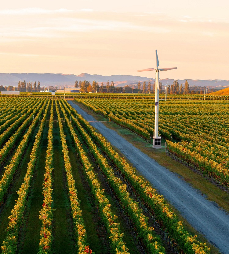 Tatra Savaria Team Tatra Savaria Team