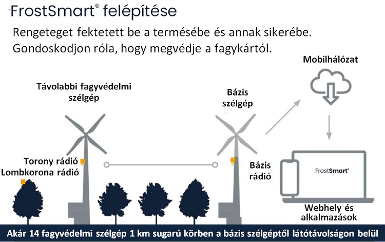 Tatra Savaria Team Tatra Savaria Team