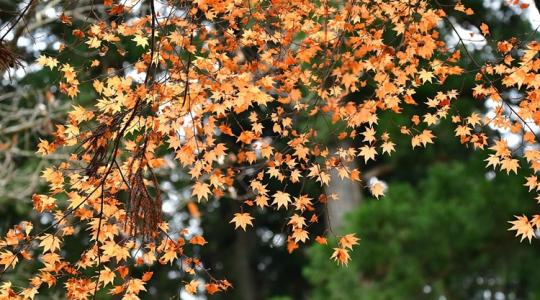 Időjárás: Ne lepődjünk meg, ha jönnek a mínuszok +VIDEÓ