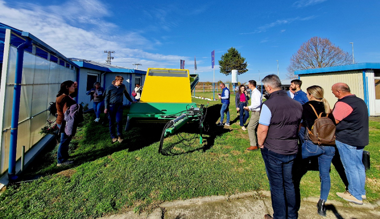 gyógynövény gyógynövény