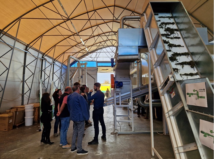 gyógynövény gyógynövény