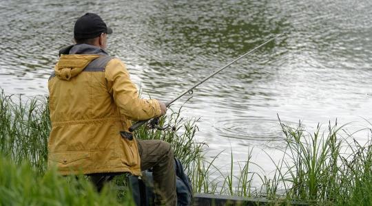 Papíron minden rendben volt – aztán jött az ellenőrzés Papíron minden rendben volt – aztán jött az ellenőrzés
