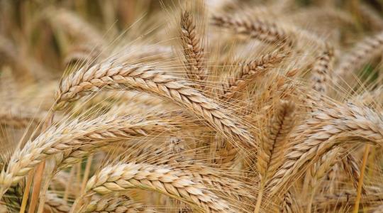 Varsóban nemet mondtak az EU agrárpolitikájára