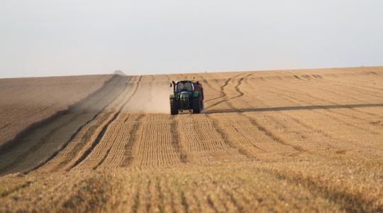 Kitalálod, melyik ország az EU gabonakirálya? Kitalálod, melyik ország az EU gabonakirálya?