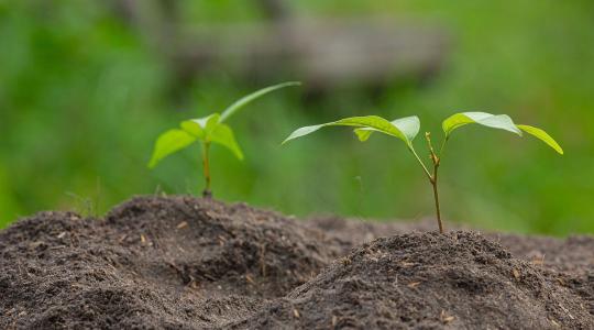 Döbbenetes: 1,7 milliárd ember sorsa múlik a talaj minőségén