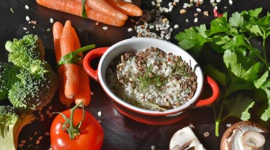 Tudomány a jövő egészségéért: fiatal kutatók mutatták be eredményeiket Debrecenben