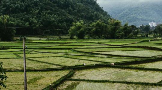23 ezer forint egy doboz rizsért? 