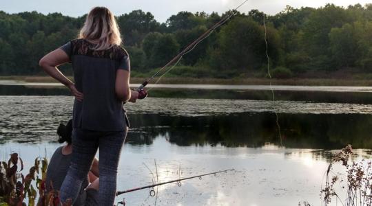 Halgazdálkodási jogot adnak bérbe ezen a holtágon