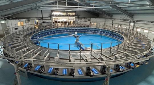 Nálunk működik Európa legmodernebb fejőháza +VIDEÓ Nálunk működik Európa legmodernebb fejőháza +VIDEÓ