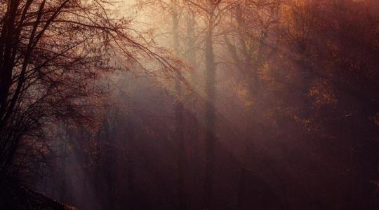 Időjárás: Nincs menekvés, lesz, ahonnan nem mozdul a köd +VIDEÓ Időjárás: Nincs menekvés, lesz, ahonnan nem mozdul a köd +VIDEÓ