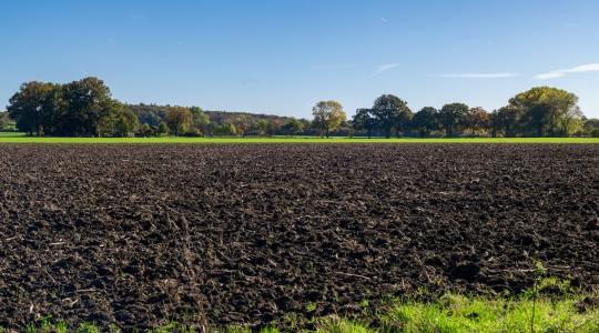 A talajban lapuló veszély: mitől függ a gyógyszermaradványok sorsa?