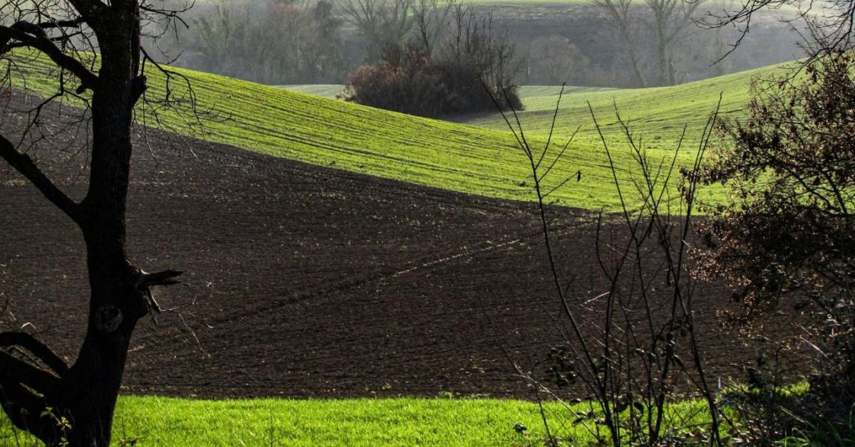 Jó hír: egyszerűbb uniós agrárszabályok jönnek Jó hír: egyszerűbb uniós agrárszabályok jönnek