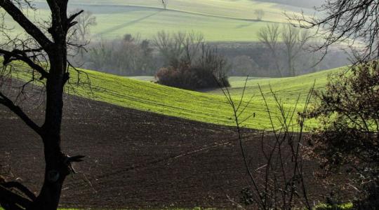 Jó hír: egyszerűbb uniós agrárszabályok jönnek