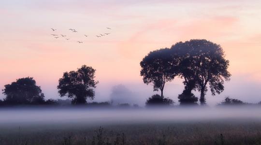 Időjárás: Borzalmas látási viszonyok nehezítik a szabadtéri munkát +VIDEÓ Időjárás: Borzalmas látási viszonyok nehezítik a szabadtéri munkát +VIDEÓ